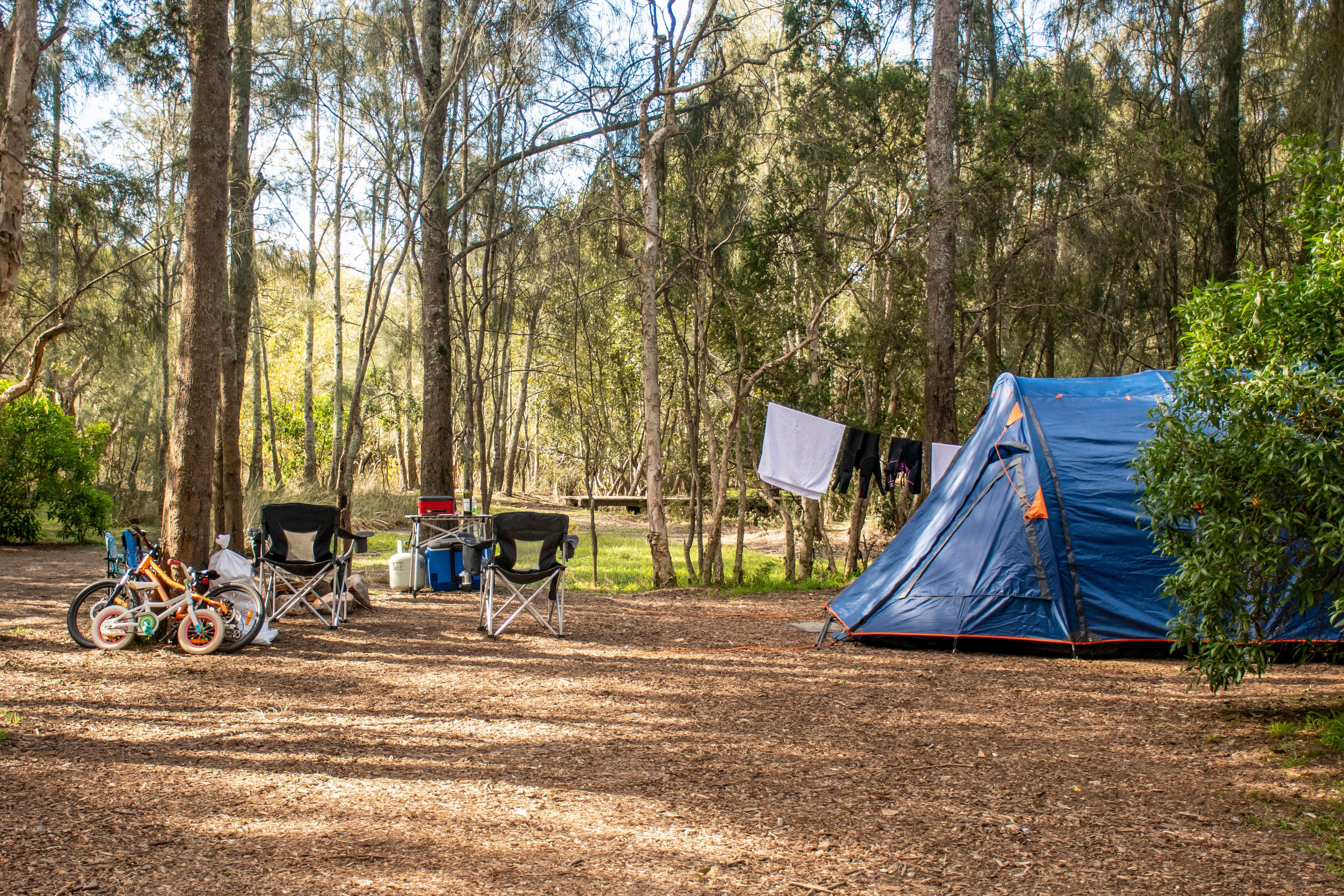 family-tent-setup-in-a-bush-forest-in-australia-2025-01-07-12-37-11-utc