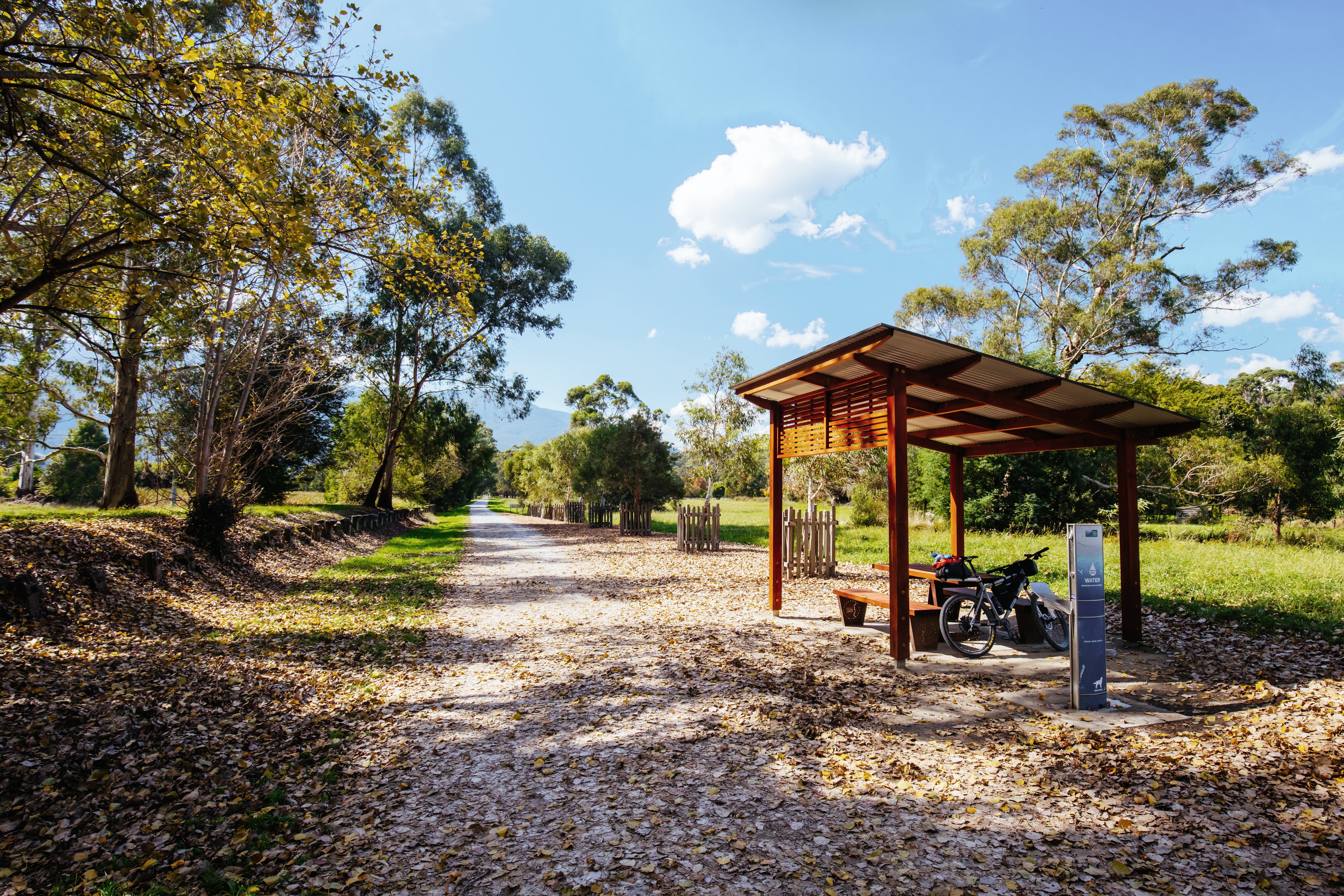 lilydale-to-warburton-rail-trail-in-australia-2025-03-09-21-59-17-utc_edit